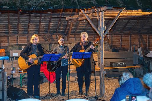  Levende kerststal  (3)