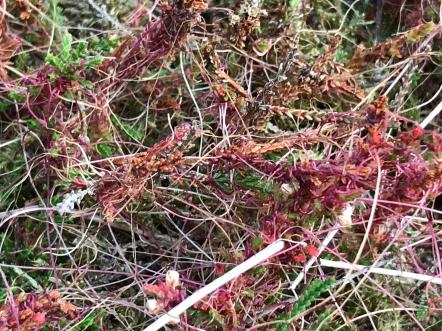 1c1ee2ce-81cd-4ea4-a0db-7d6a867009fe