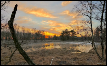 Avondschemer knuppelbrug Voskuilenheuvel