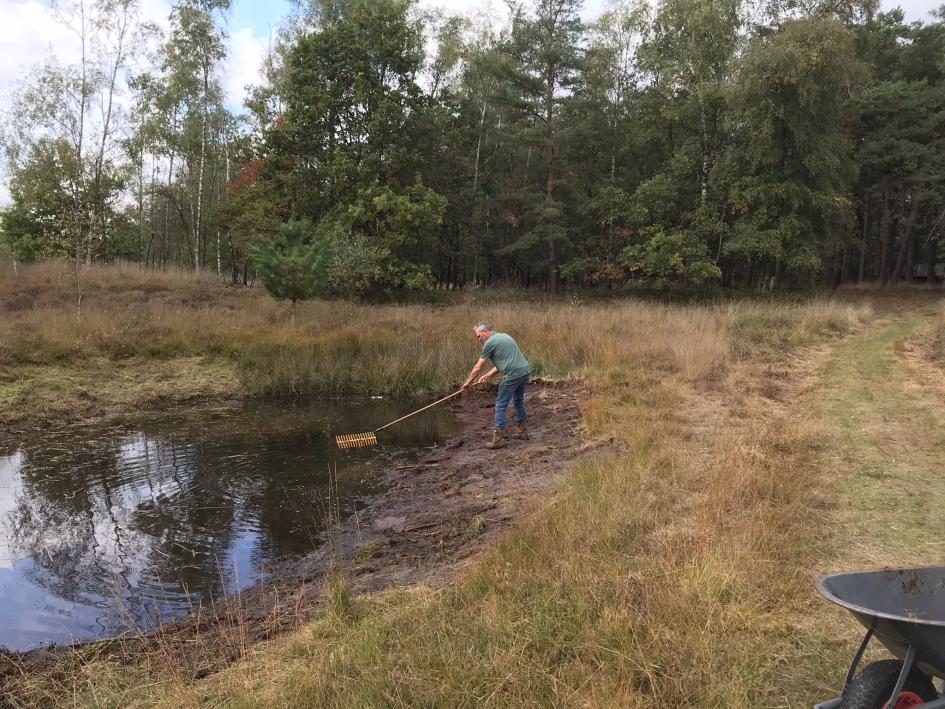 Poel opschonen Voskuilenheuvel 