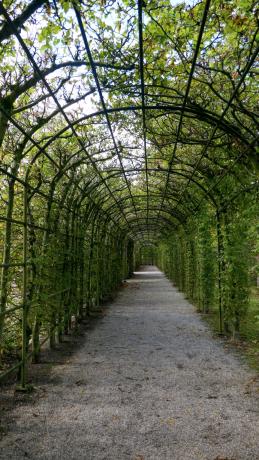 Uitstapje Arcen 2024P1030311