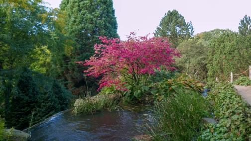 Uitstapje Arcen 2024P1030347