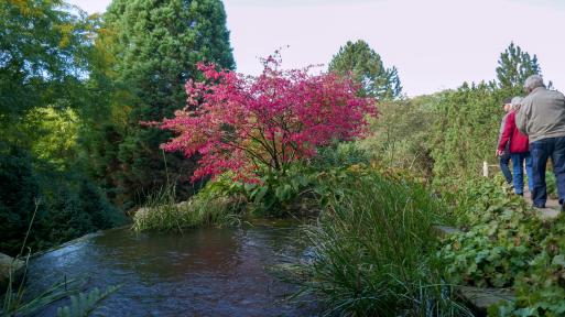 Uitstapje Arcen 2024P1030348