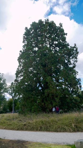 Uitstapje Arcen 2024P1030368