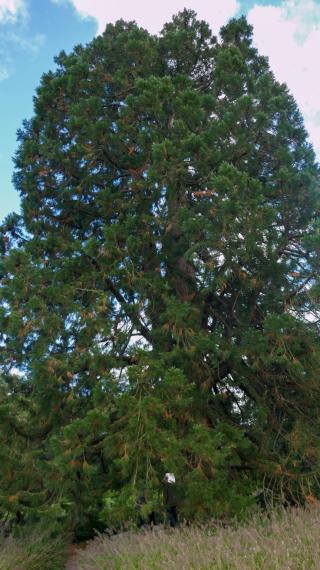 Uitstapje Arcen 2024P1030371