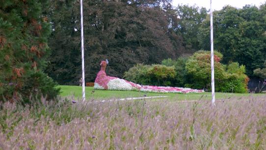 Uitstapje Arcen 2024P1030372