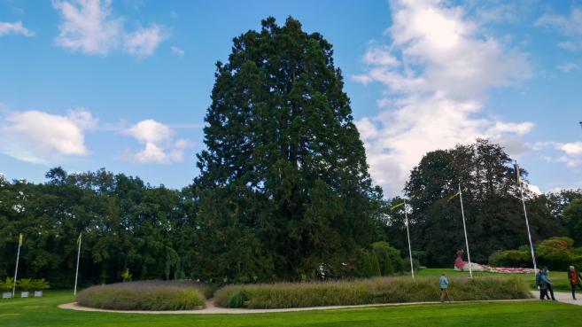 Uitstapje Arcen 2024P1030373